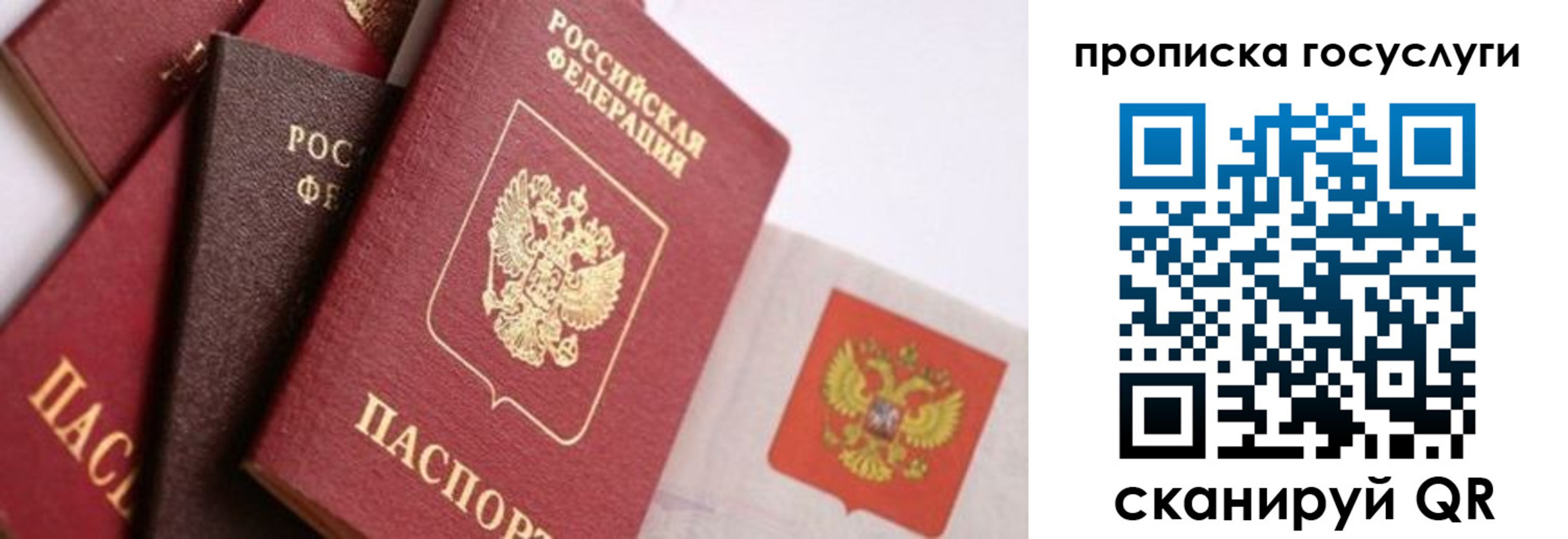 прописка законно в Ряжске